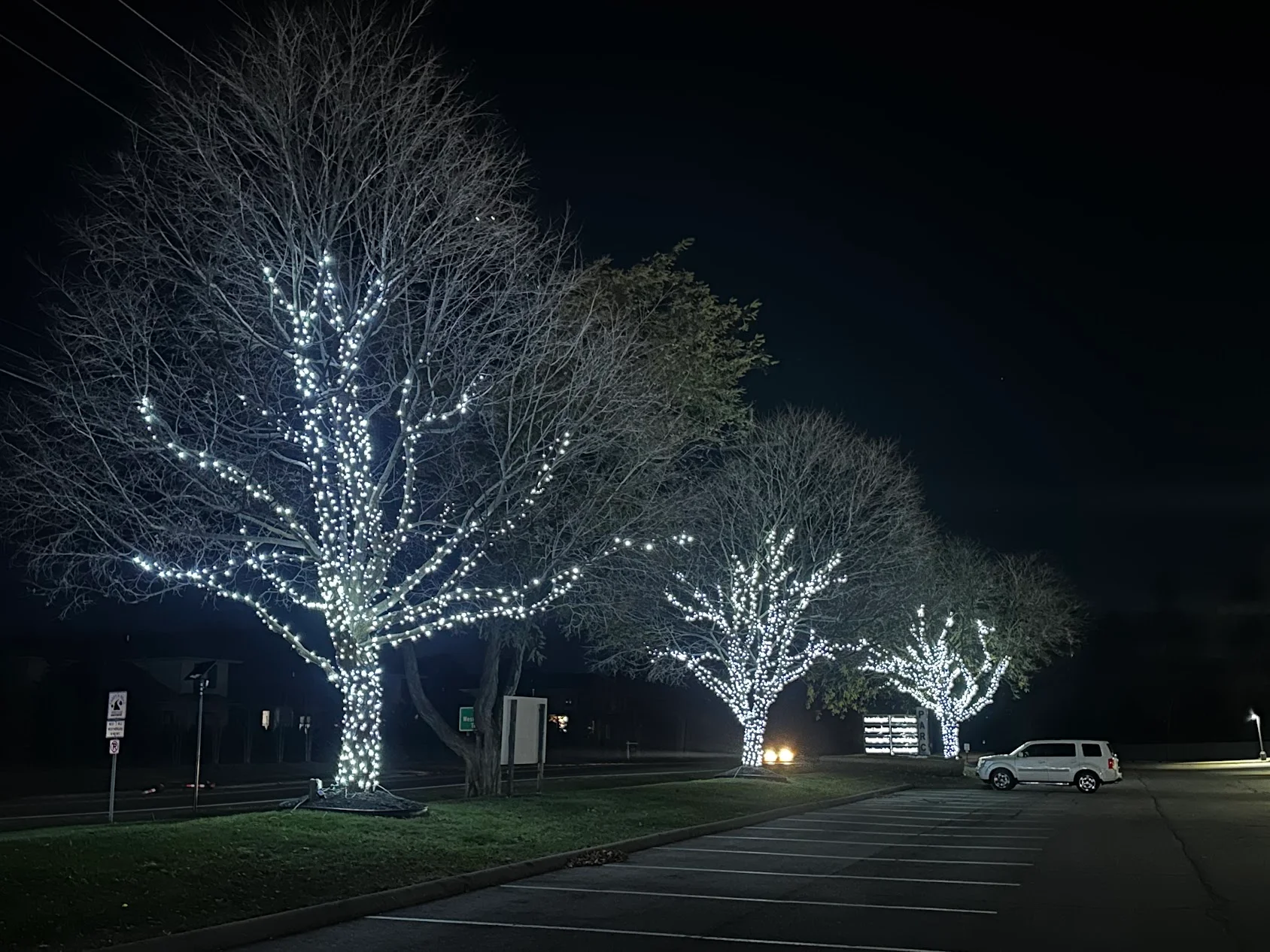 Illuminated trees with white LED lights in commercial parking lot at night