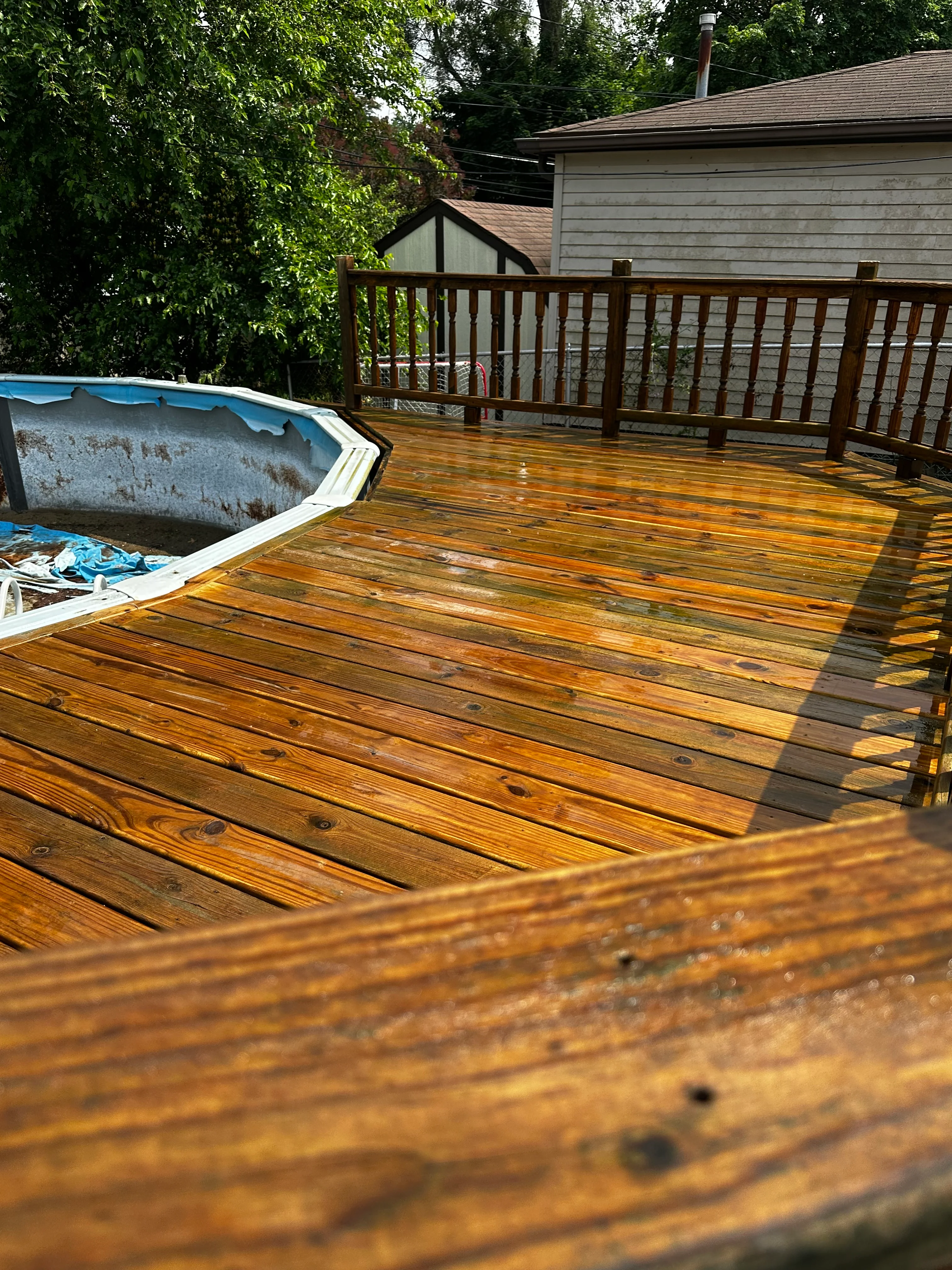 Freshly cleaned wooden deck with warm honey-brown finish and dark wood railing