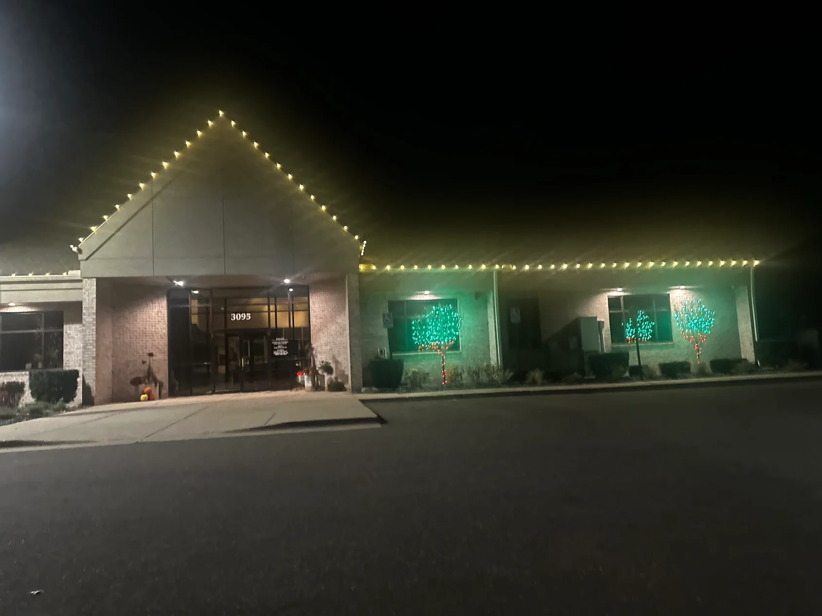 Commercial storefront at night with LED string lights outlining roofline and illuminated decorative trees in windows