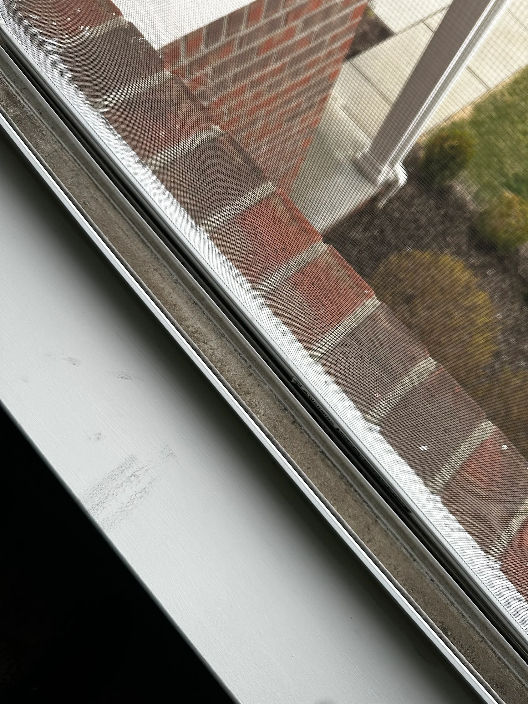 Clean window screen and white frame after professional pressure washing service